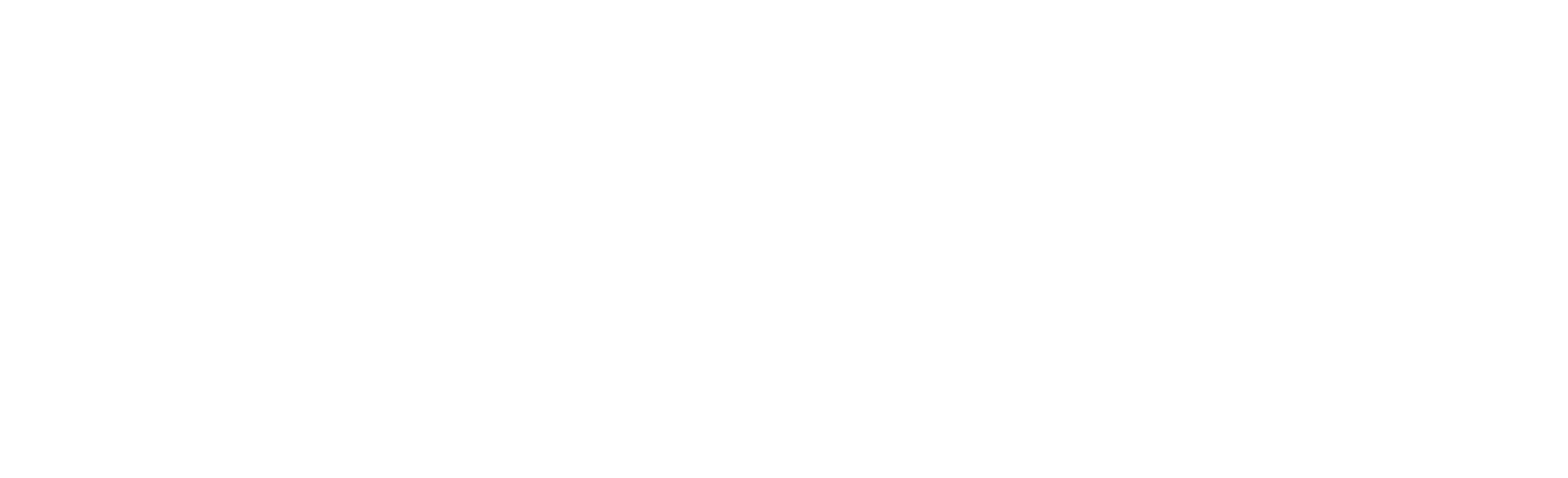 FABIANO Gebäudediagnostik